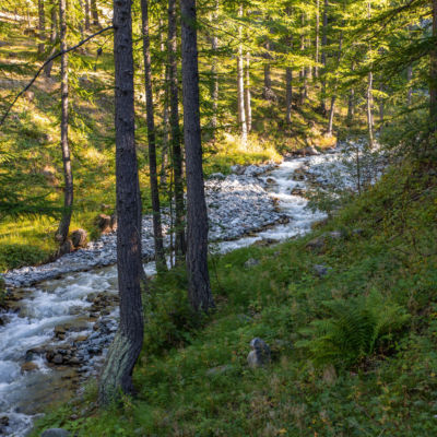 Restaurer et préserver les ressources naturelles et les écosystèmes